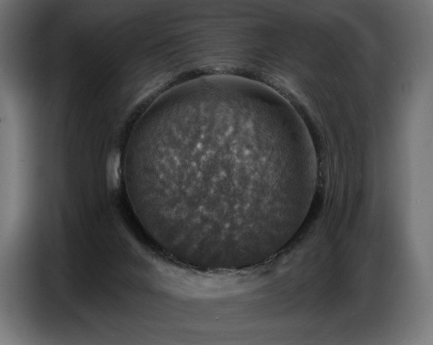 X0000086880024200704161233