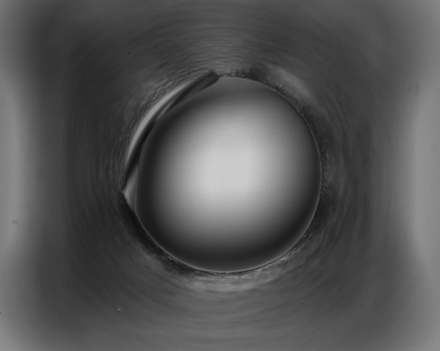 X0000086880025200704161233