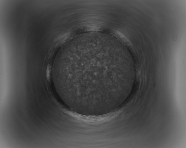 X0000086880026200704161233