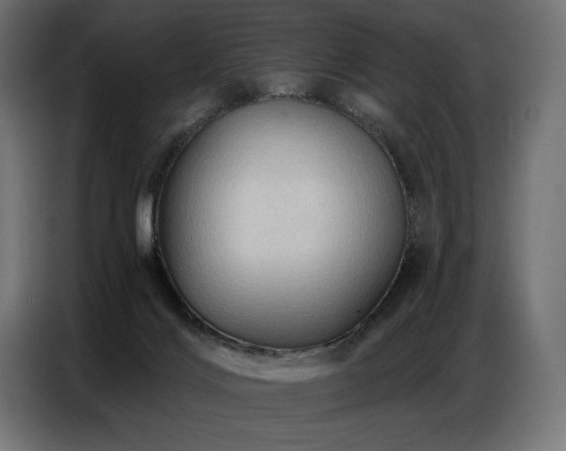 X0000086880028200704161233