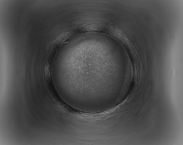 X0000086880029200704161233