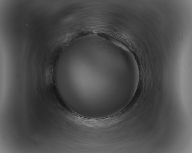 X0000086880030200704161233