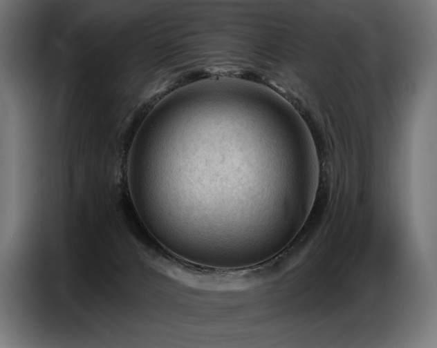 X0000086880032200704161233