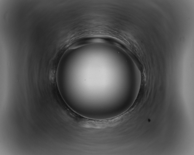 X0000086880033200704161233