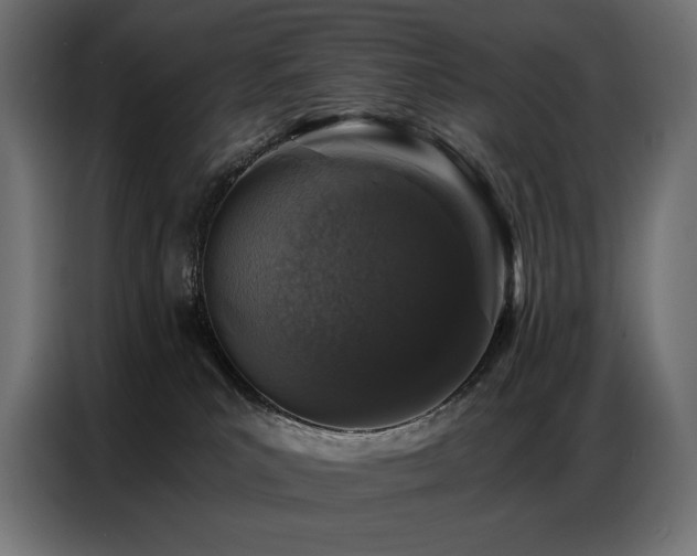 X0000086880039200704161232