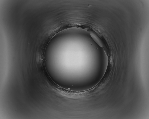 X0000086880040200704161232