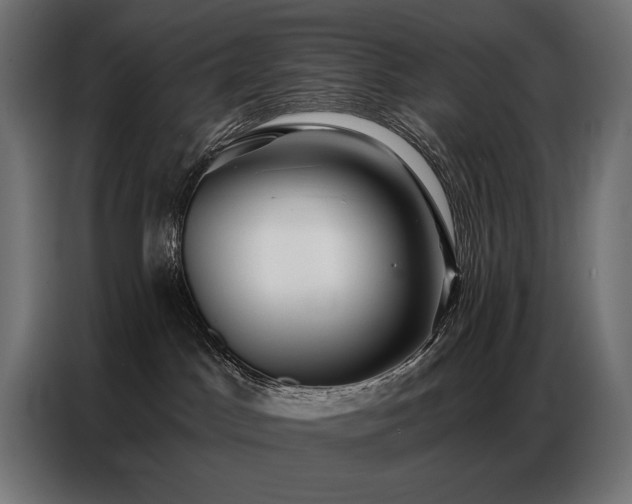 X0000086880045200704161232