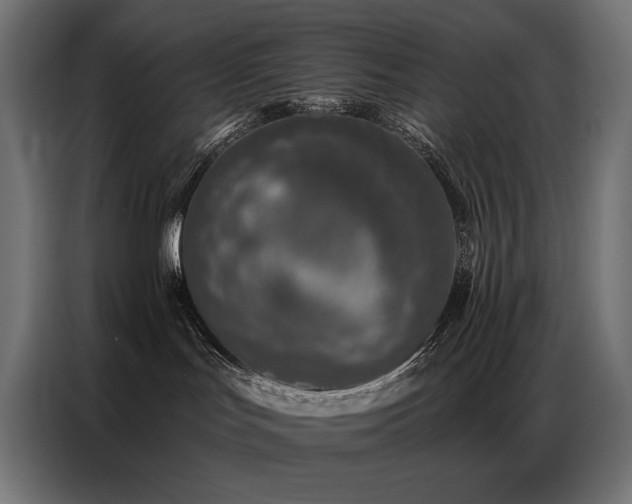 X0000086880047200704161232