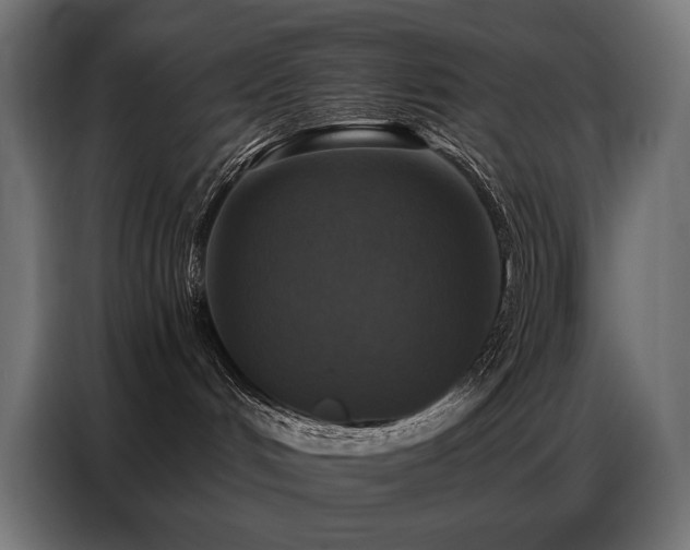 X0000086880048200704161232