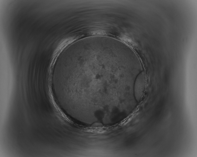 X0000086880049200704161231