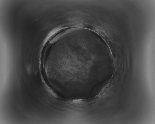 X0000086880054200704161231