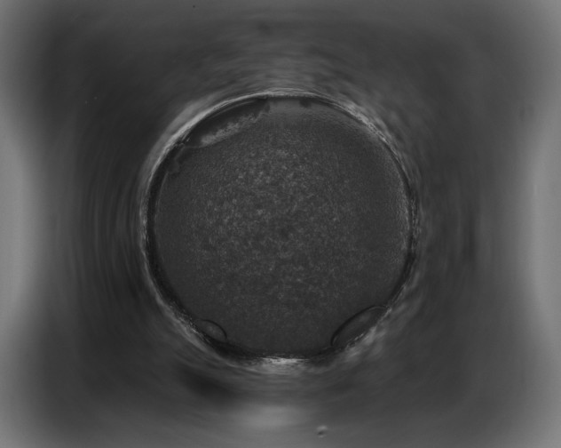 X0000086880055200704161231