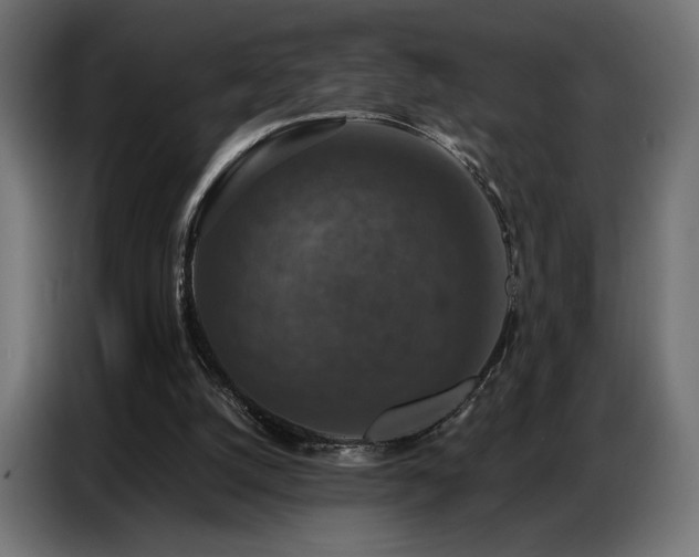 X0000086880056200704161231