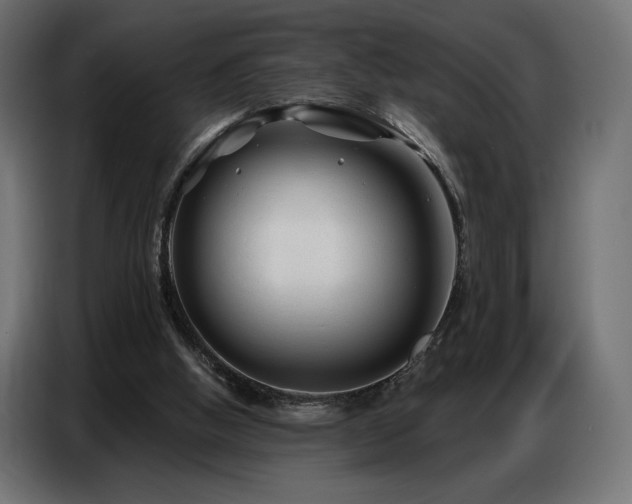 X0000086880058200704161232