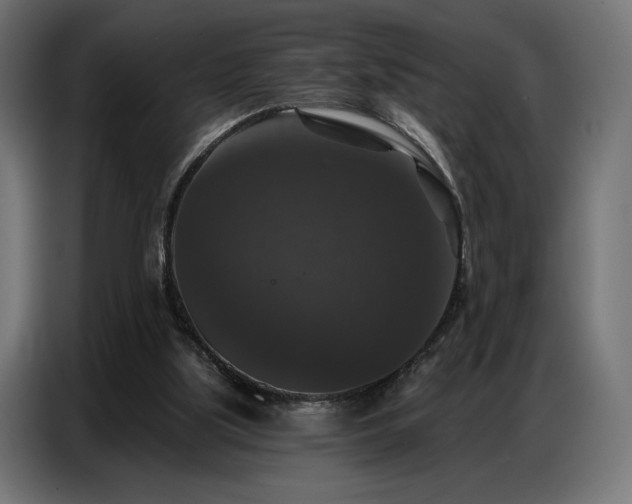 X0000086880059200704161232