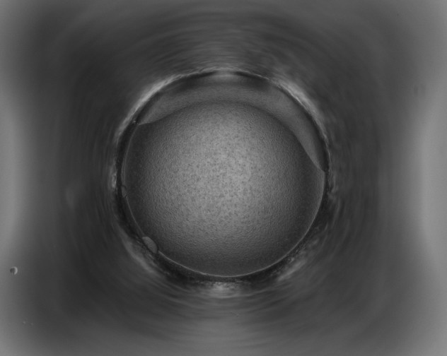 X0000086880060200704161232