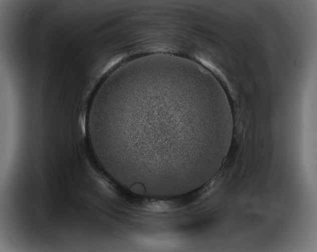 X0000086880062200704161232