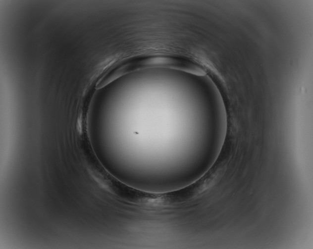 X0000086880068200704161232