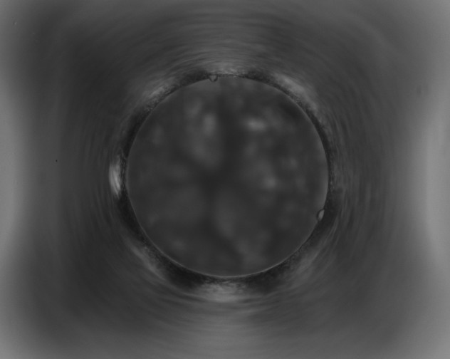 X0000086880069200704161232