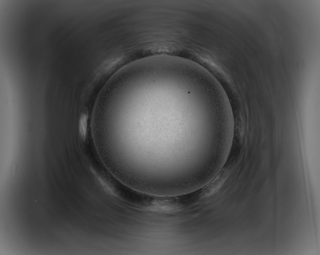 X0000086880070200704161232