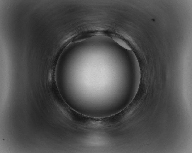 X0000086880071200704161232