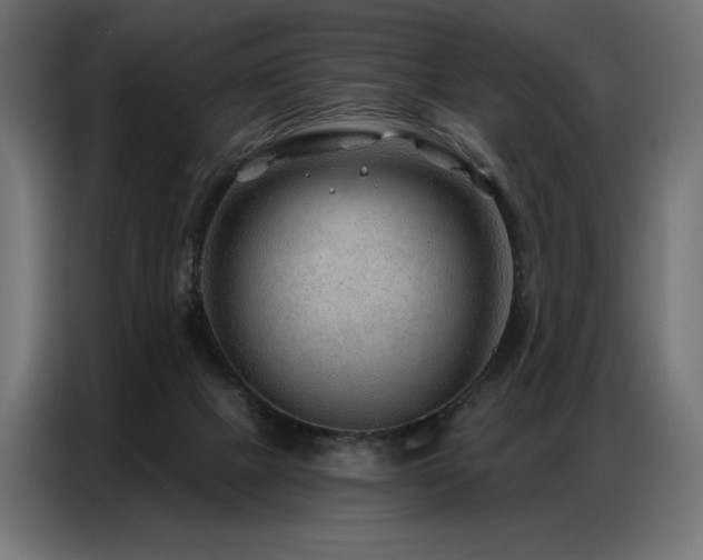 X0000086880073200704161232