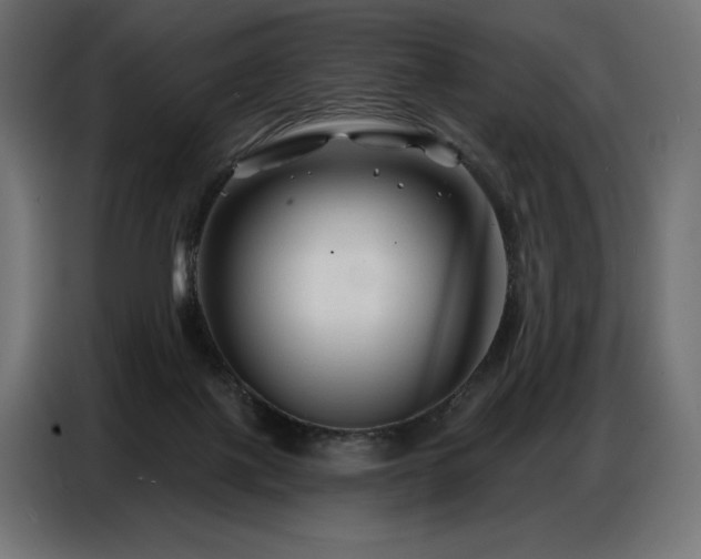 X0000086880075200704161232