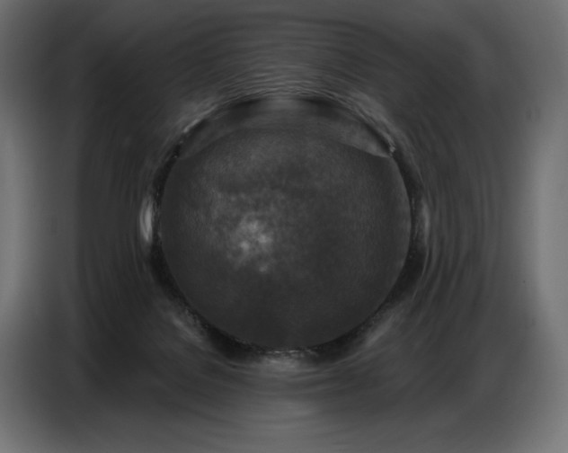 X0000086880076200704161232