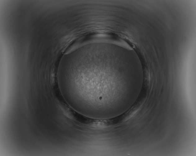 X0000086880080200704161232