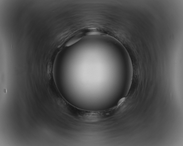 X0000086880082200704161232