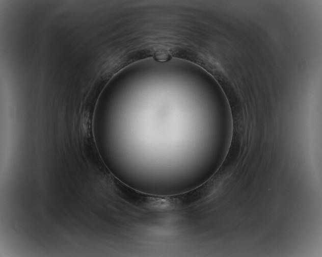 X0000086880083200704161232