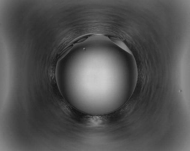 X0000086880091200704161232