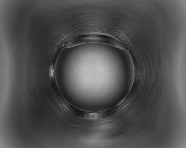 X0000086880095200704161232