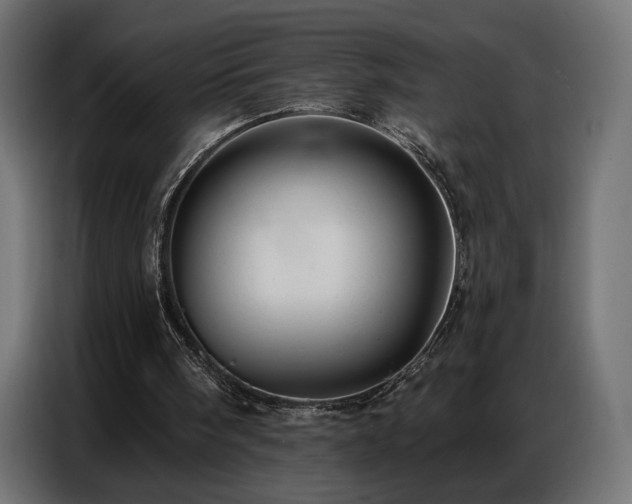 X0000086880098200704161231