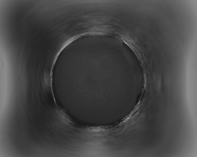 X0000086880100200704161231