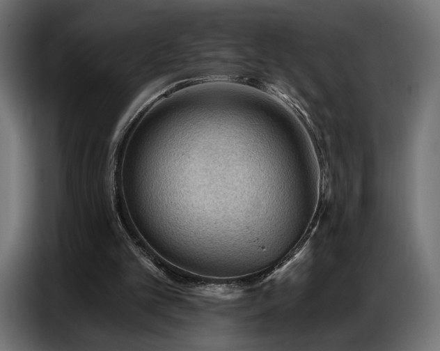 X0000086880101200704161231