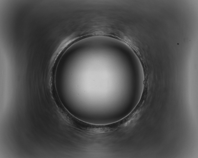 X0000086880103200704161231