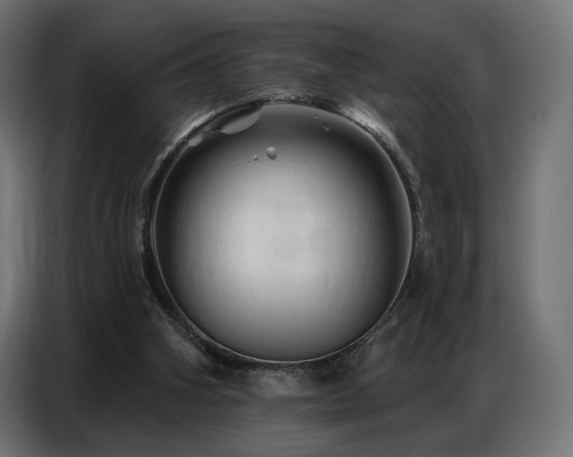 X0000086880106200704161231