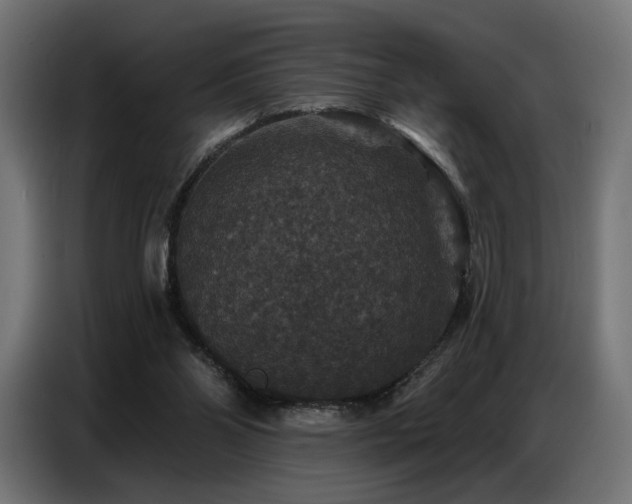 X0000086880110200704161231