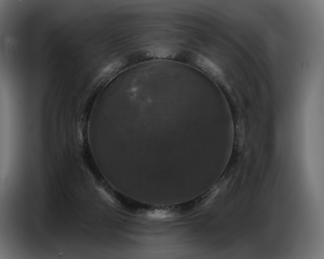 X0000086880114200704161231