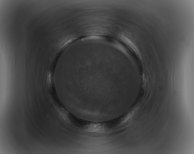 X0000086880117200704161231