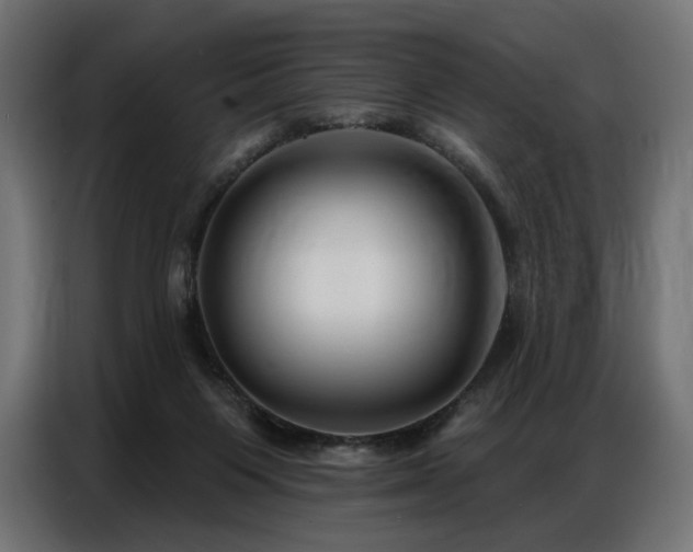 X0000086880119200704161231