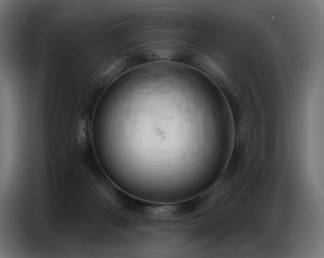 X0000086880122200704161231