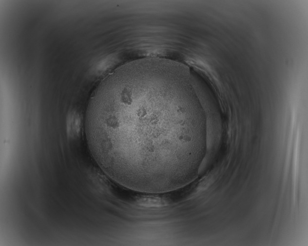 X0000086880123200704161231