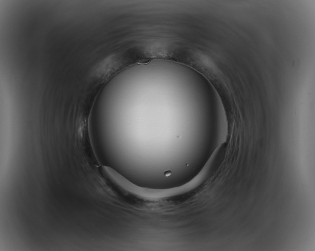 X0000086880125200704161231