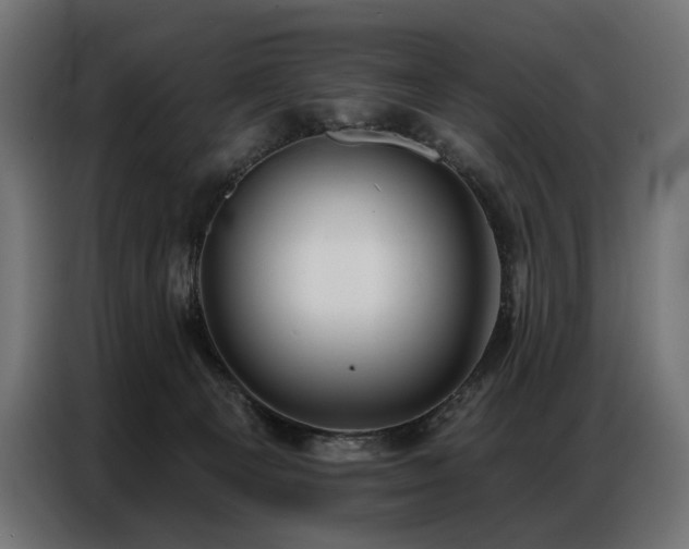 X0000086880129200704161231