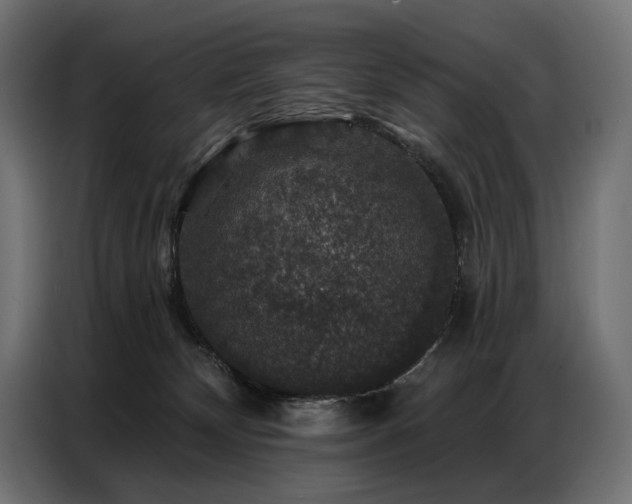 X0000086880132200704161231