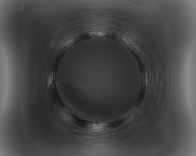 X0000086880134200704161231