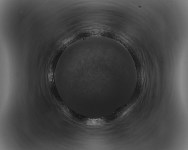 X0000086880137200704161231