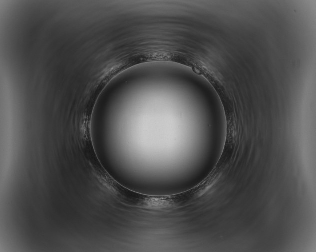 X0000086880141200704161230